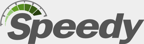Speedy Sewer Scope Inspections